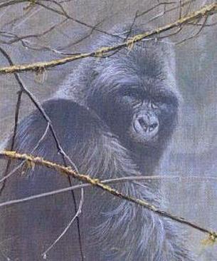 mntgorilla-Mountain Gorilla-closeup-painting.jpg