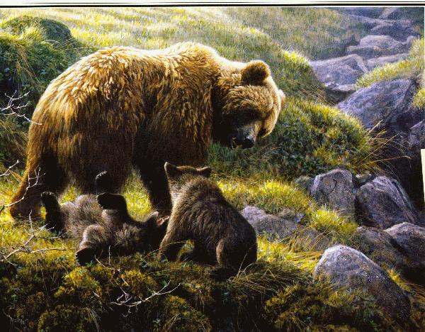 rbr10-Grizzly Bears-mom and cubs-painting.jpg