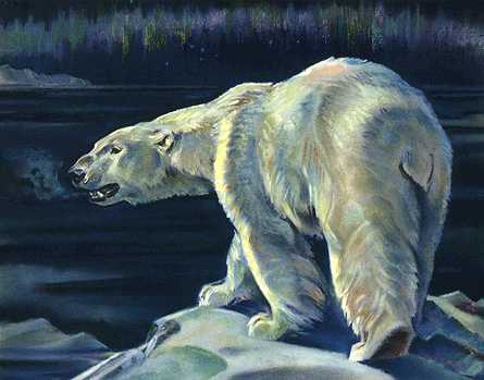 animalwild012-PolarBear-Painting.jpg