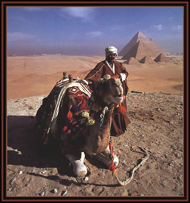 KsW-Camel Driver-Egypt-01.jpg