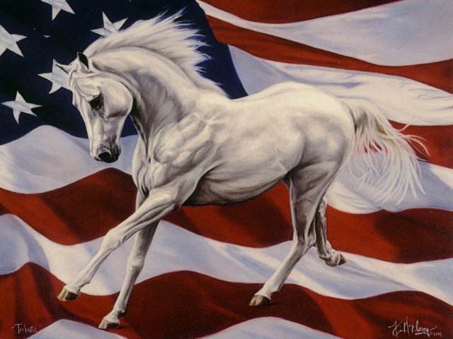 Arab Alamain-Arabian Gray Horse-on USA flag-painting.jpg