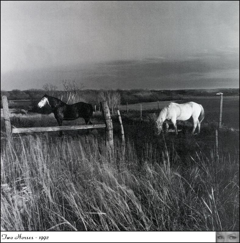 gel bnw two horses 1992.jpg