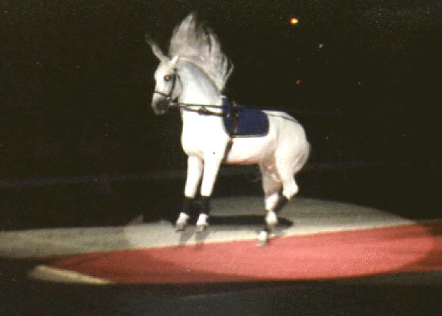 Gray Lipizzan Horse-Leaping Unicorn.jpg
