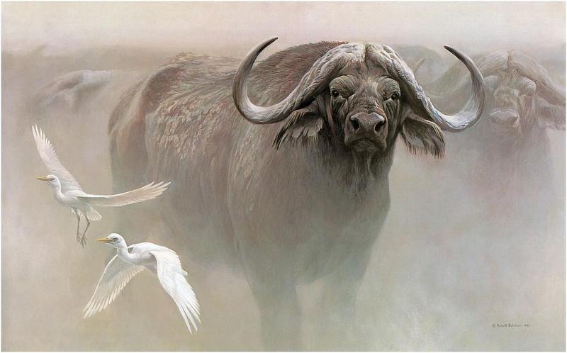 Bateman - Master of the Herd 1979 zw.jpg