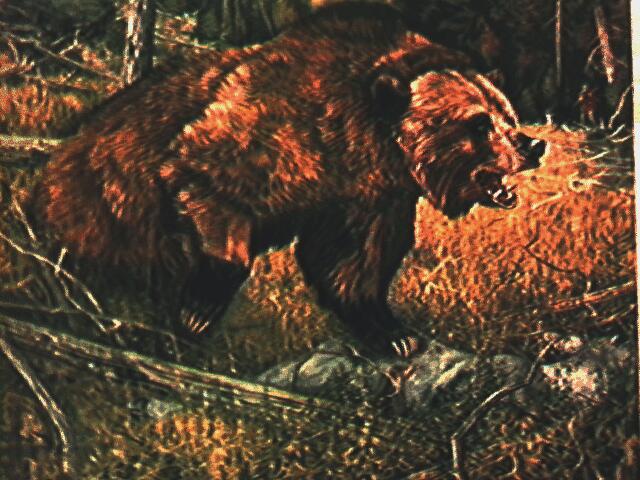 Grizzly Bear01-Roaring.jpg