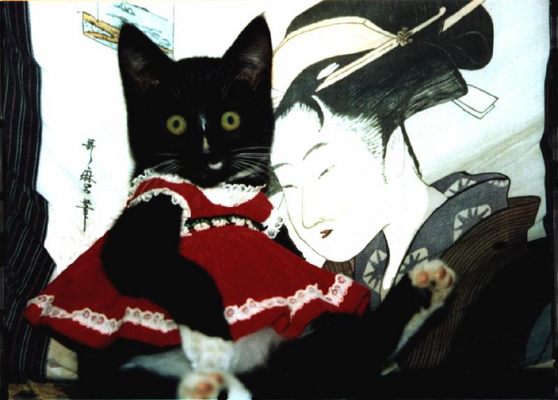 Japanese Painting-Cat-rashaan2.jpg