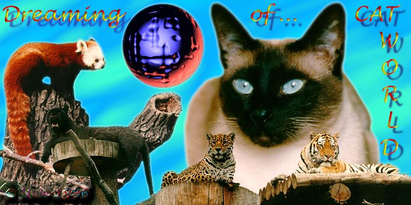 Dreaming Of Cat World-Uwecat05.jpg
