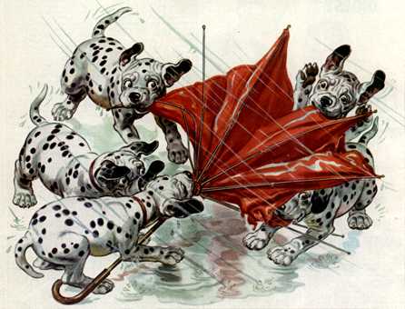 anmpt364-Dalmatian Pups-animation-with umbrella in rain.jpg