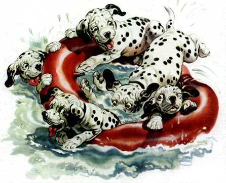 anmpt367-Dalmatian Pups-animation-playing with tube on water.jpg