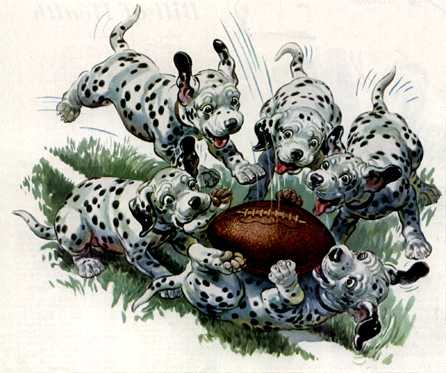 anmpt368-Dalmatian Pups-animation-playing with a ball.jpg