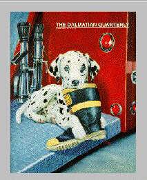 Dalmatian Dog-dal02.jpg