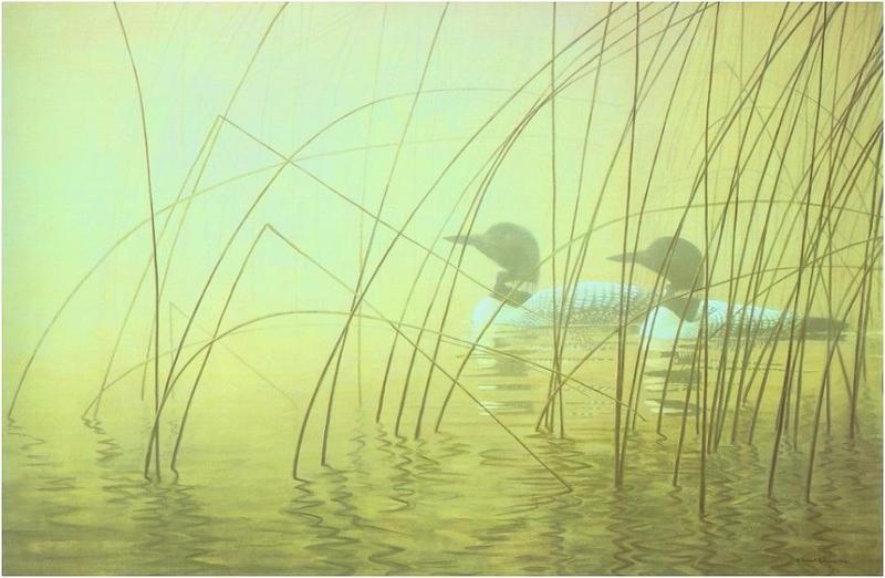 Bateman - Loons in Morning Mist 1980 zw.jpg