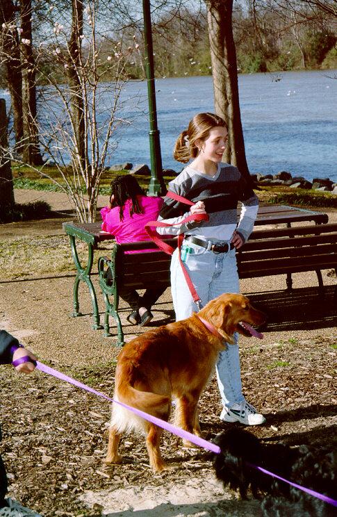 HoundDog01-Golden Retriever Dog-with girl in park.jpg