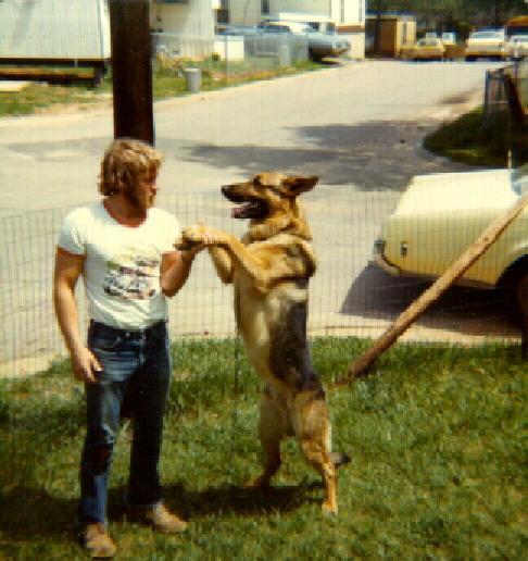Dog-German Shepherd-Prince&D.jpg