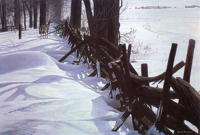 Edge of the Wood-White-tailed Deer-Robert Bateman 1976 -cl.jpg