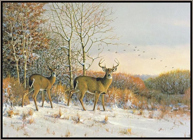 Gromme Owen-Early Snowfall White-tailed Deer-sj.jpg