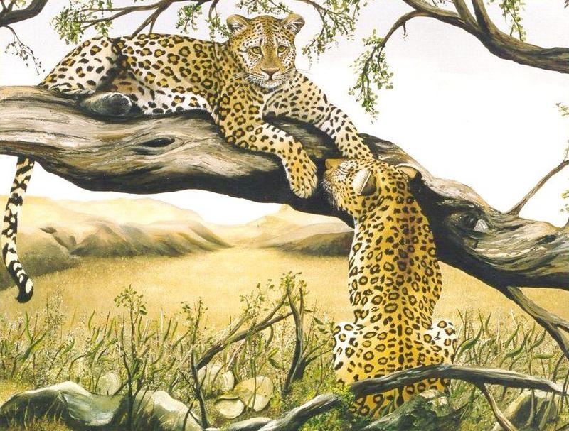 cat2f-Painting-African Leopards-resting.jpg