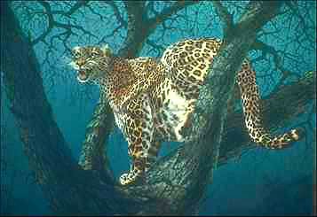 Leopard1-snarling on tree-painting.jpg