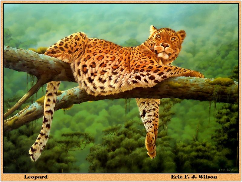 p-bwa-21-African Leopard-on tree-painting by Eric F J Wilson.jpg