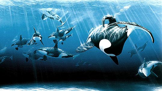 going home Orcas-Killer Whales-painting.jpg