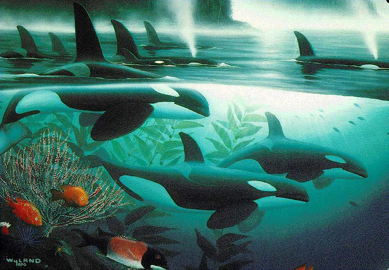 Killer Whale Painting-orca2.jpg
