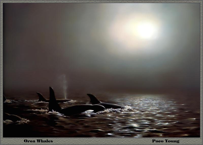 p-bwa-32-Orca Whales-Painting by Paco Young.jpg