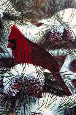 Bird Painting-Northern Cardinal-perching on snow tree.jpg