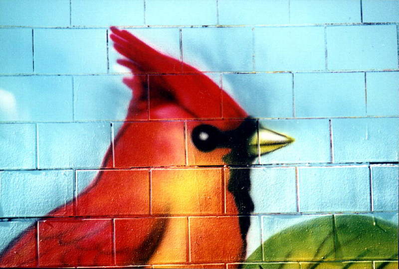 Mural Painting By Chico-Cardinal-Redbird Head.jpg