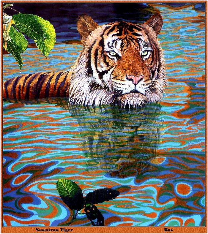 p-bwa-03-Sumatran Tiger-in water-Painting by Bas.jpg