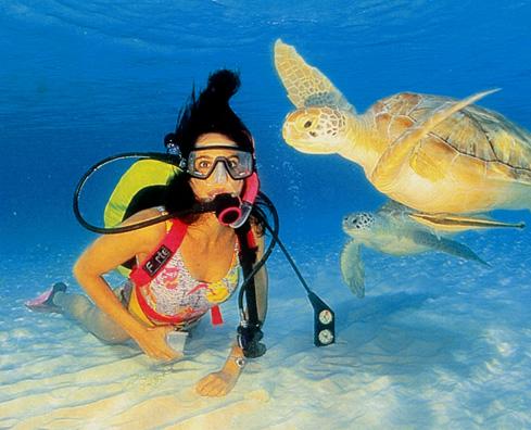 Scuba F G Girl with Turtles008-Green Sea Turtles.jpg