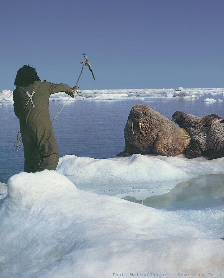 BW Glenn Williams-Inuit Walrus Hunter.jpg