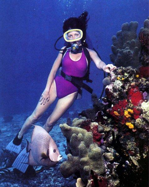 scuba172-Blue Angelfish-with diver girl.jpg