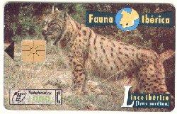 Spanish Lynx-linx w.jpg