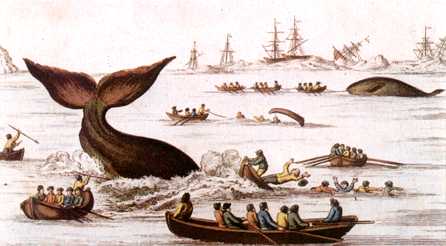 Anmaq019-Painting-Hunting Sperm Whales.jpg