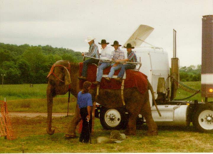 Cowboys3-Riding-Asian Elephant.jpg