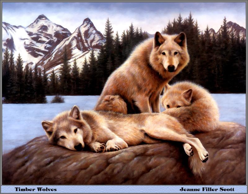 p-bwa-38-Timber Wolves-Gray Wolf trio-Painting by Jeanne Filler Scott.jpg
