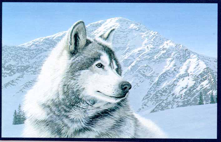 Gray Wolf Scan1-Face Closeup-Snow Mountains-Painting.jpg