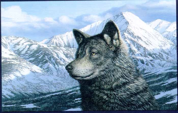 Gray Wolf Scan2-Black Fur-Snow Mountains-Painting.jpg