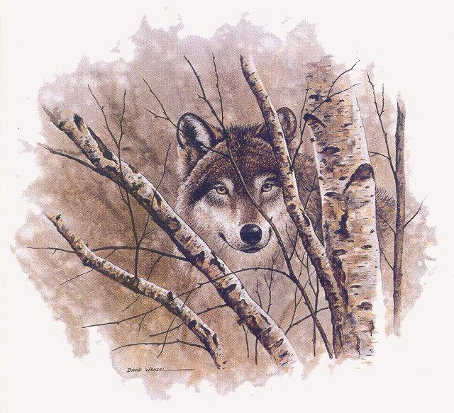 lj David Wenzel Wolf In The Woods.jpg