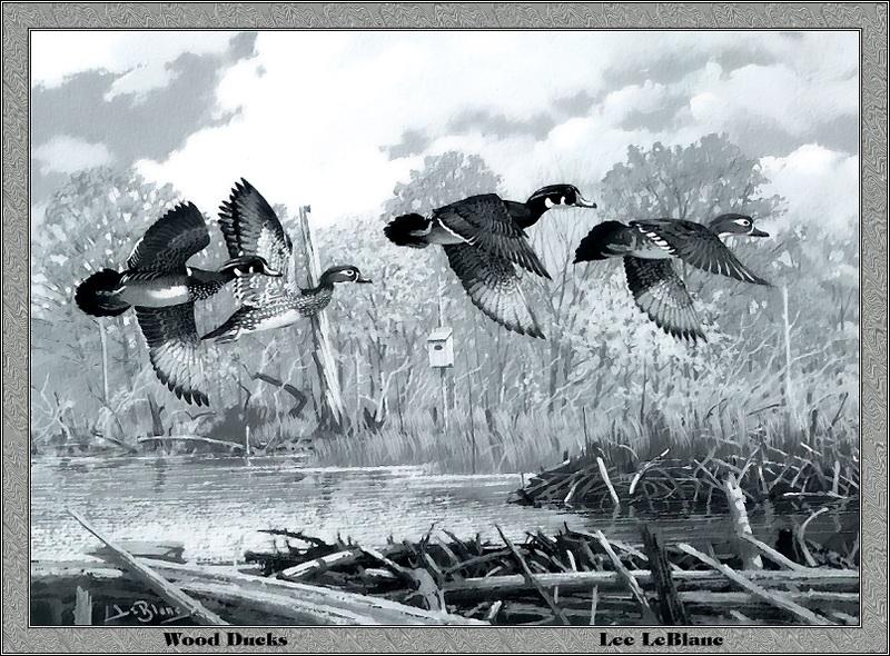 p-nyds1987-Woodducks-flight-Painting by Lee LeBlane.jpg