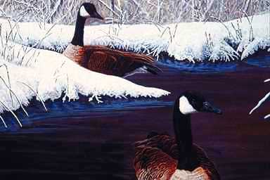 Bird Painting-Geese-Canada Goose-on snow lake.jpg
