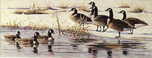 Swedish Bird Painting-Gass-Goose-geese flock.jpg
