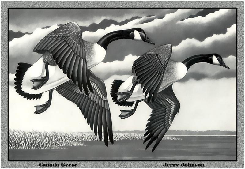 p-msds1982-Canada Geese-goose pair flight-Painting by Jerry Johnson.jpg