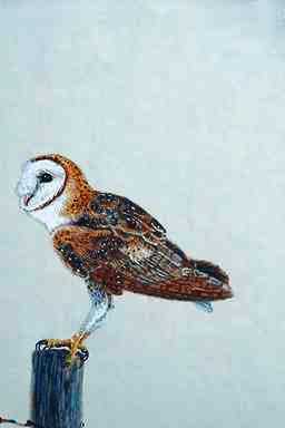 Bird Painting-Barn Owl 4-perching on log.jpg