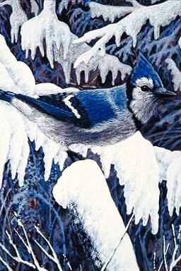 Bird Painting-American Blue Jay1-on snow.jpg