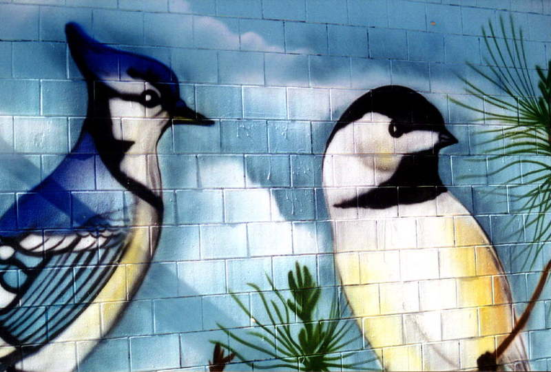 Mural Painting By Chico-Bird Watch-Blue Jays.jpg