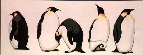 penguin0-Emperor Penguins-painting.jpg