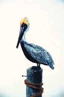 Bird Painting-Brown Pelican-perching on log.jpg