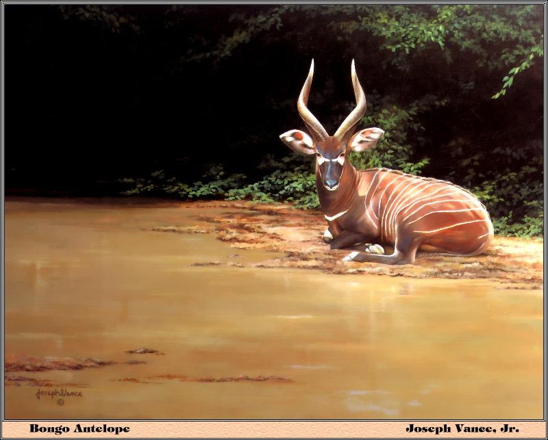 p-bwa-42-Bongo Antelope-Painting by Joseph Vanee Jr.jpg