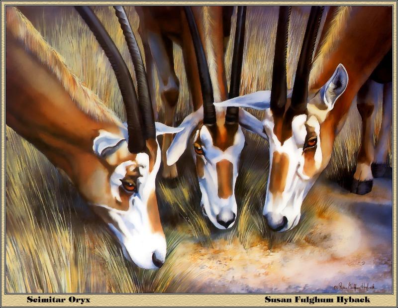 p-bwa-22-Scimitar-horned Oryxes-Painting by Susan Fulghum Hyback.jpg